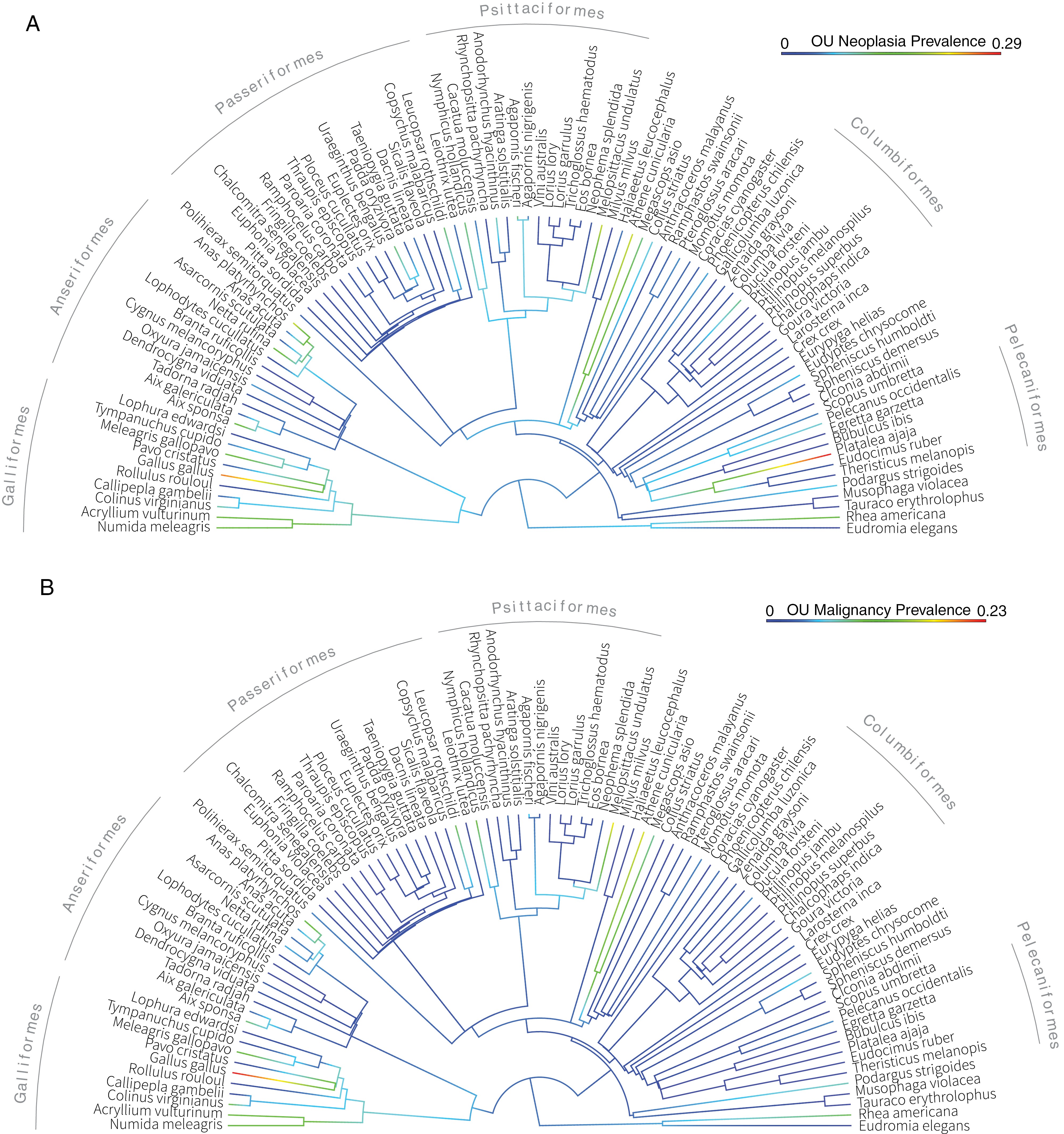 Life History Traits publication
